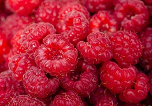 Crunchy Plantain Chips 100g